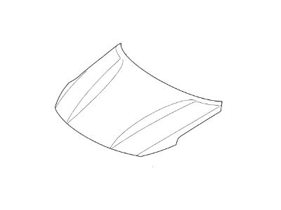 Panel Assembly Hood